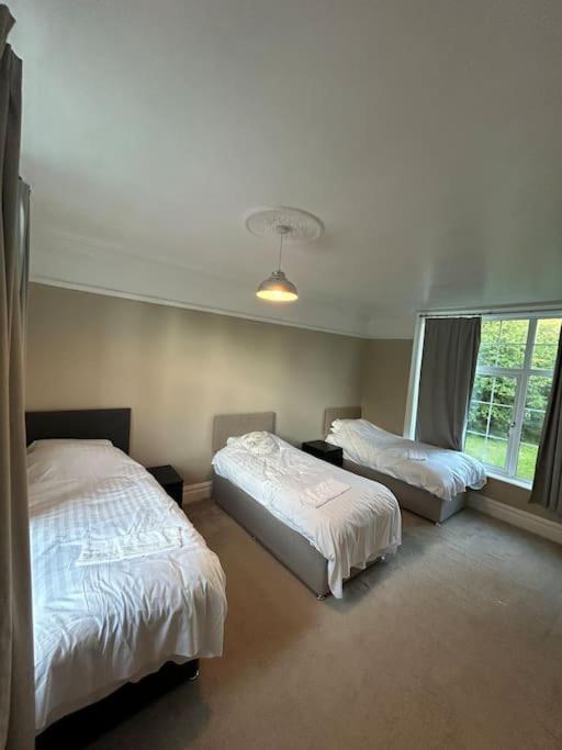 Willa Henstridge House Ilfracombe Zewnętrze zdjęcie